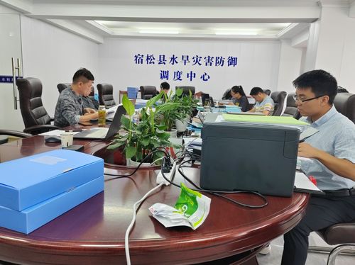 审计服务与社会经济咨询协同发力，助推经济社会高质量发展